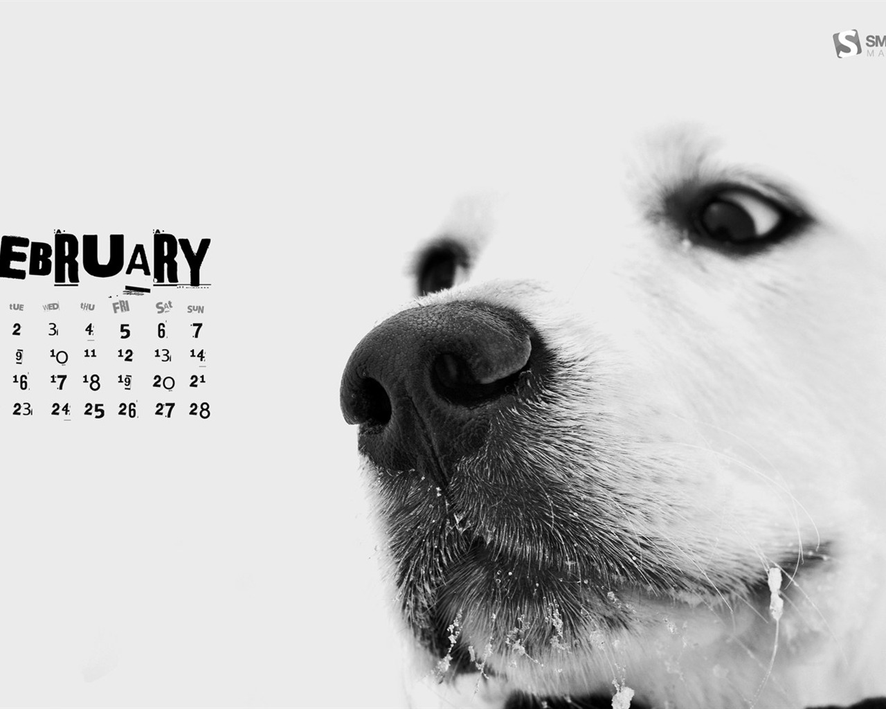Februar 2010 Kalender Wallpaper kreative #14 - 1280x1024