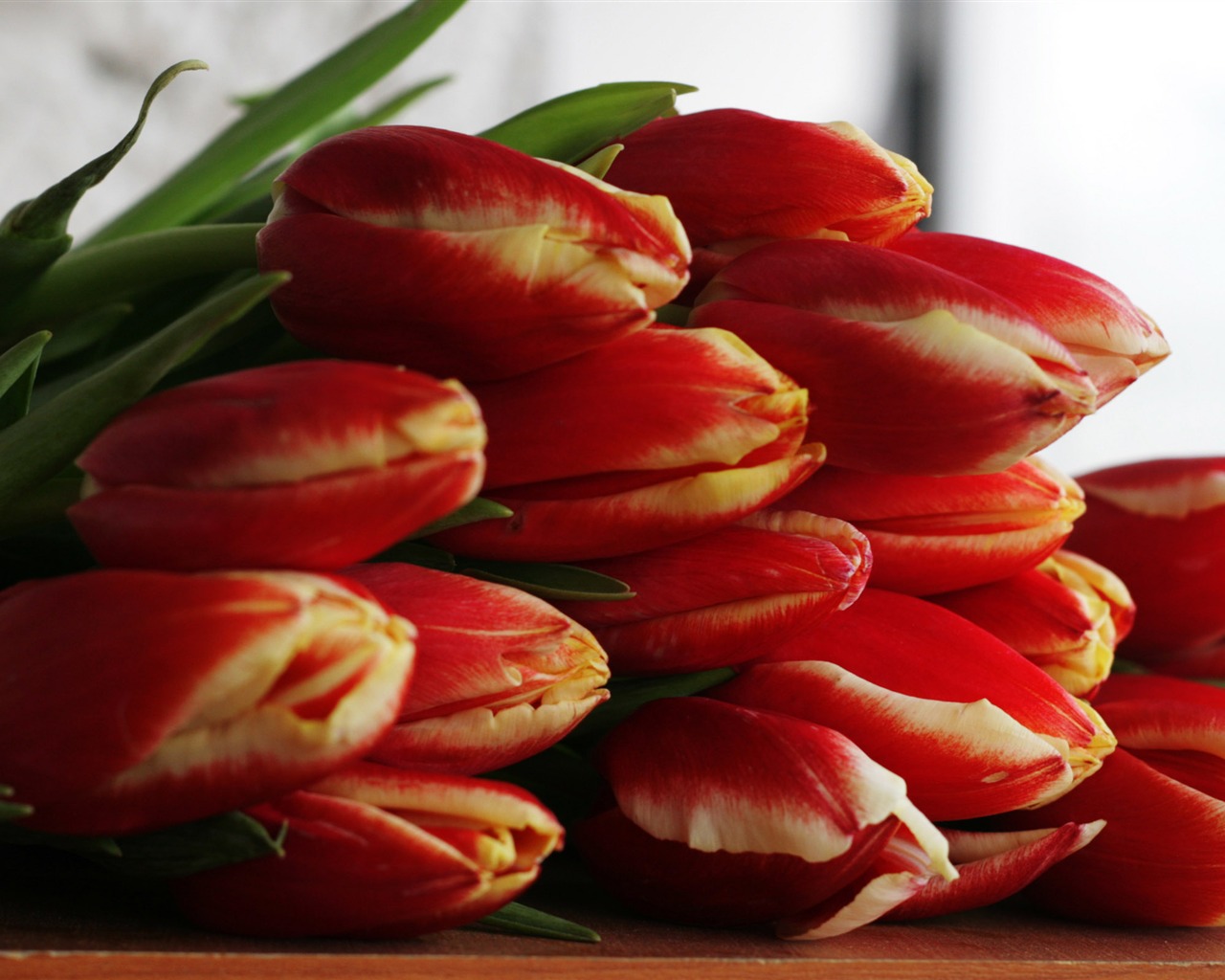 Velký tulipán tapetu (2) #20 - 1280x1024