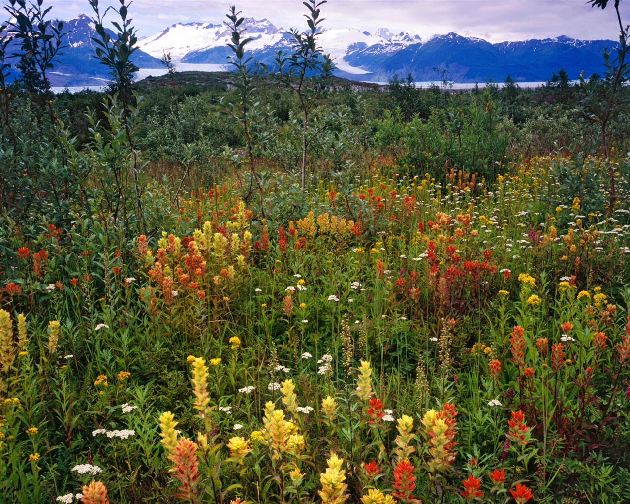 Fond d'écran paysage de l'Alaska (1) #16 - 1280x1024