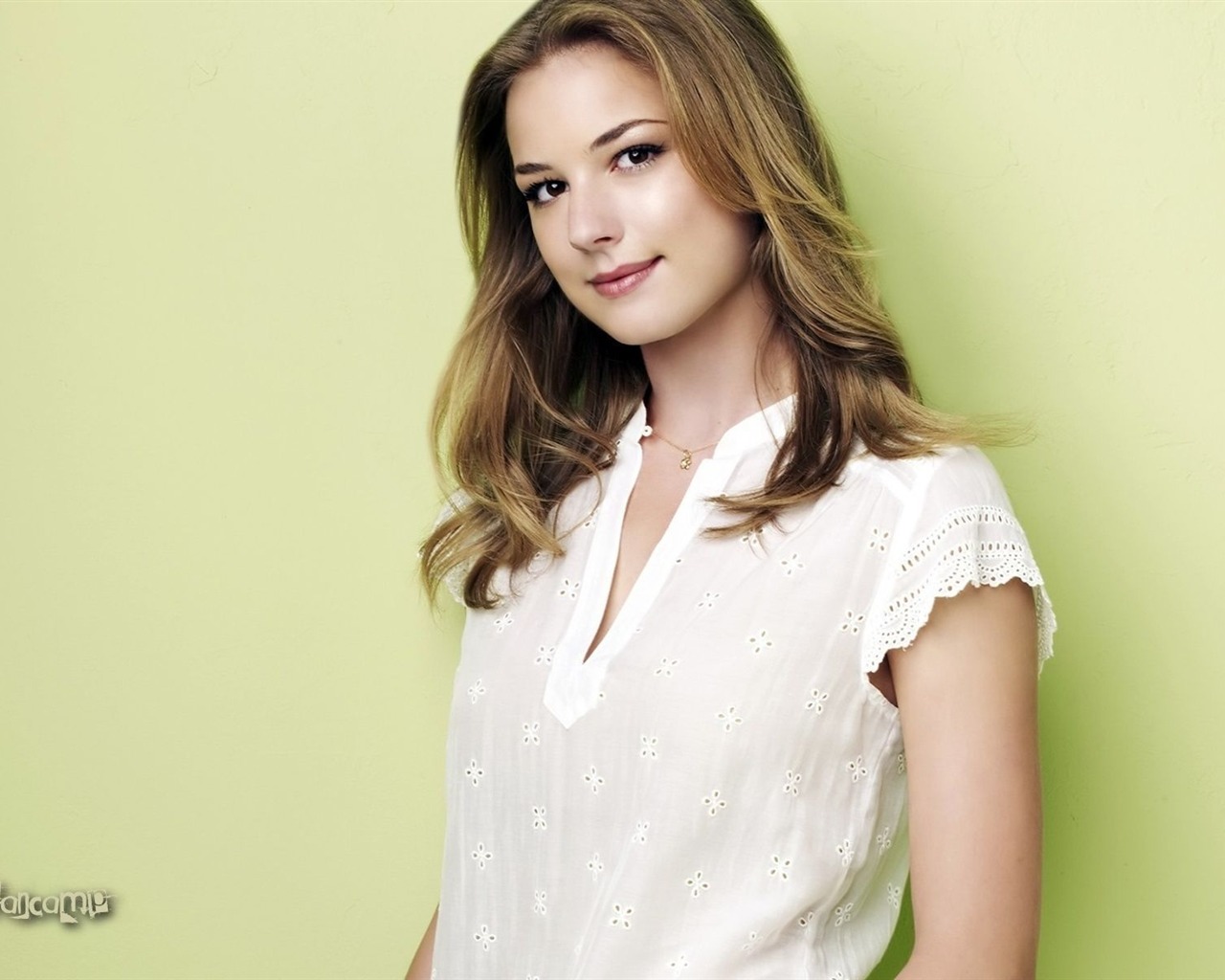Emily VanCamp krásnou tapetu #4 - 1280x1024
