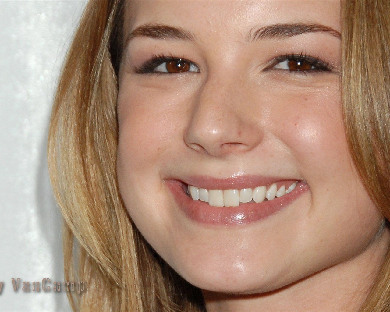 Emily VanCamp hermoso fondo de pantalla #9 - 1280x1024