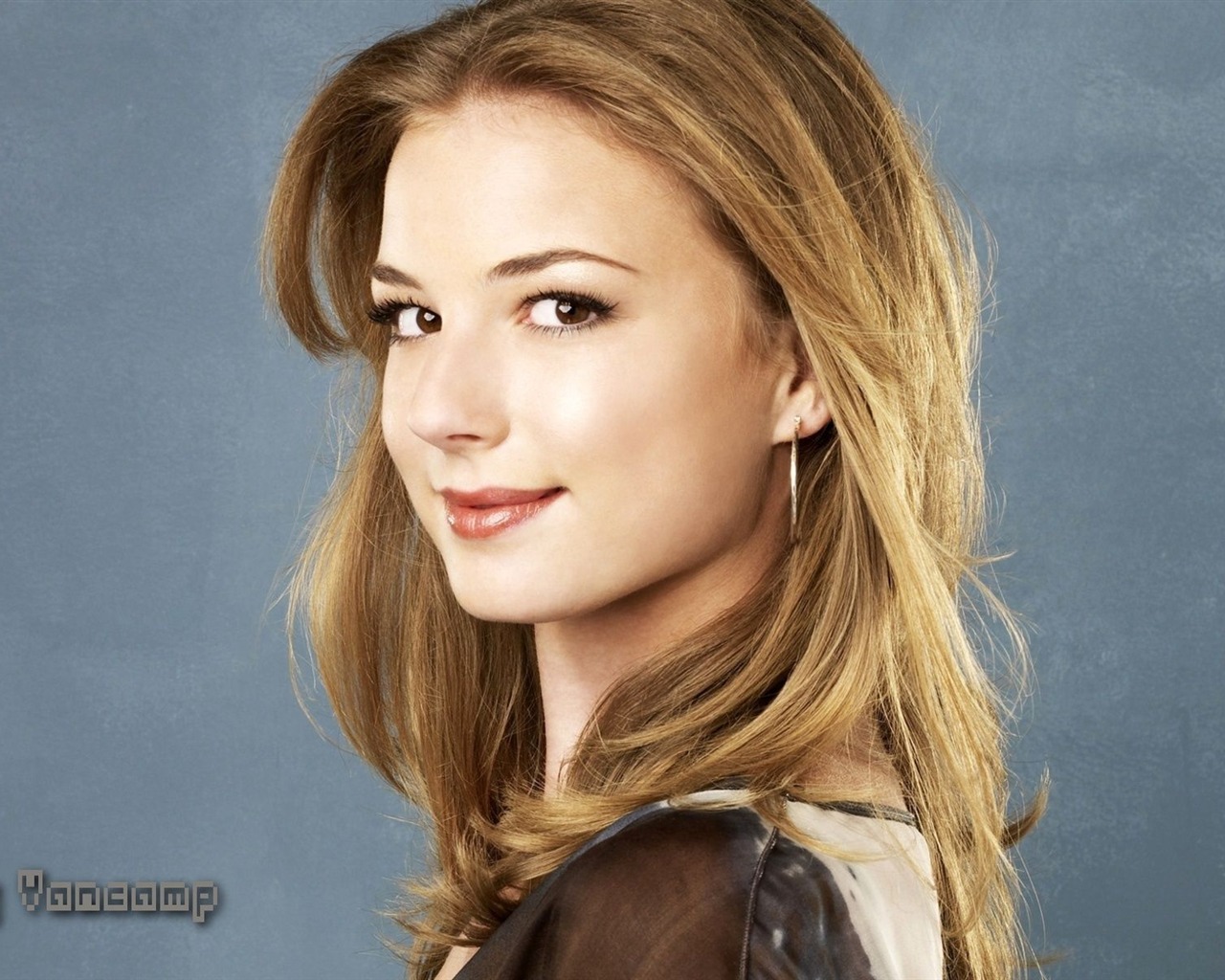 Emily VanCamp krásnou tapetu #12 - 1280x1024