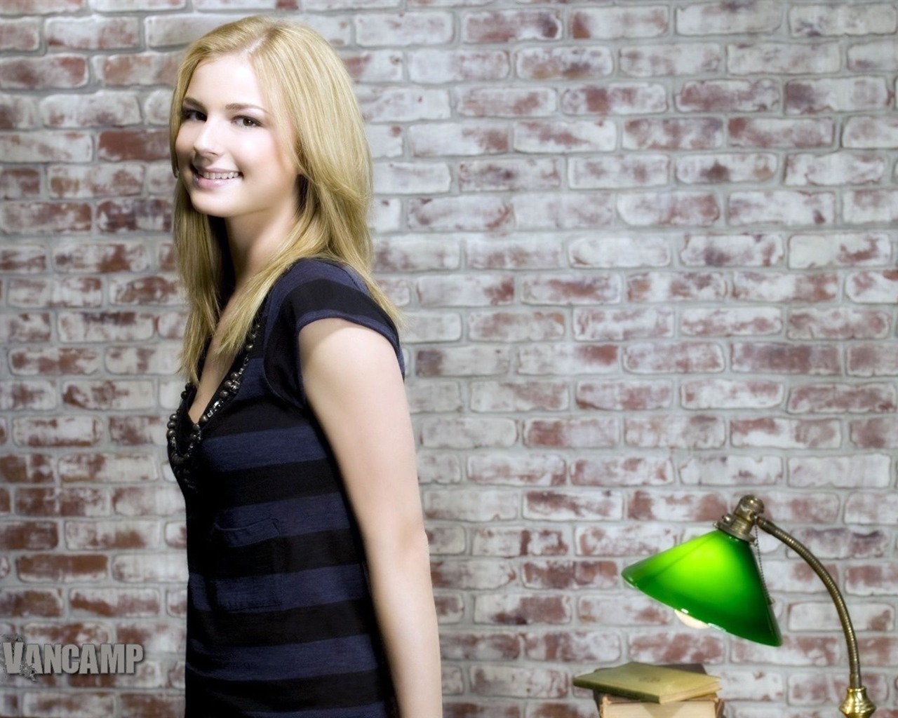 Emily VanCamp hermoso fondo de pantalla #14 - 1280x1024