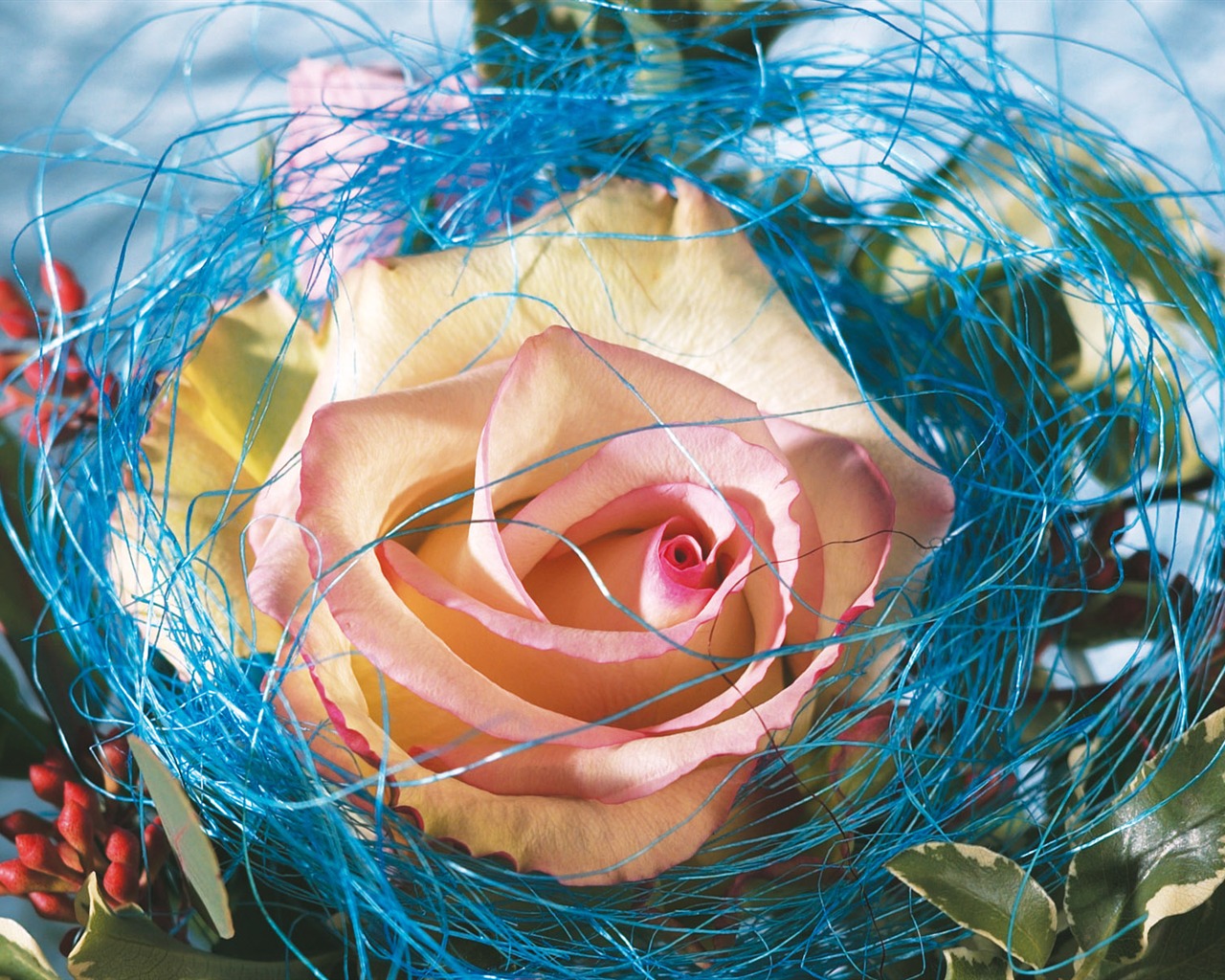 Widescreen wallpaper flowers close-up (3) #9 - 1280x1024