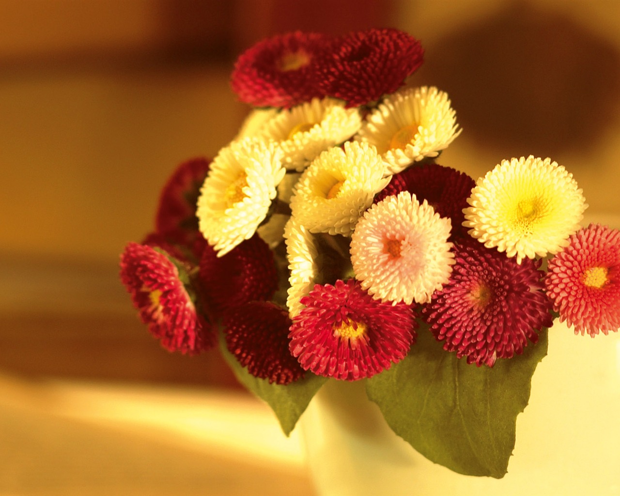 Širokoúhlý tapety květiny close-up (3) #19 - 1280x1024
