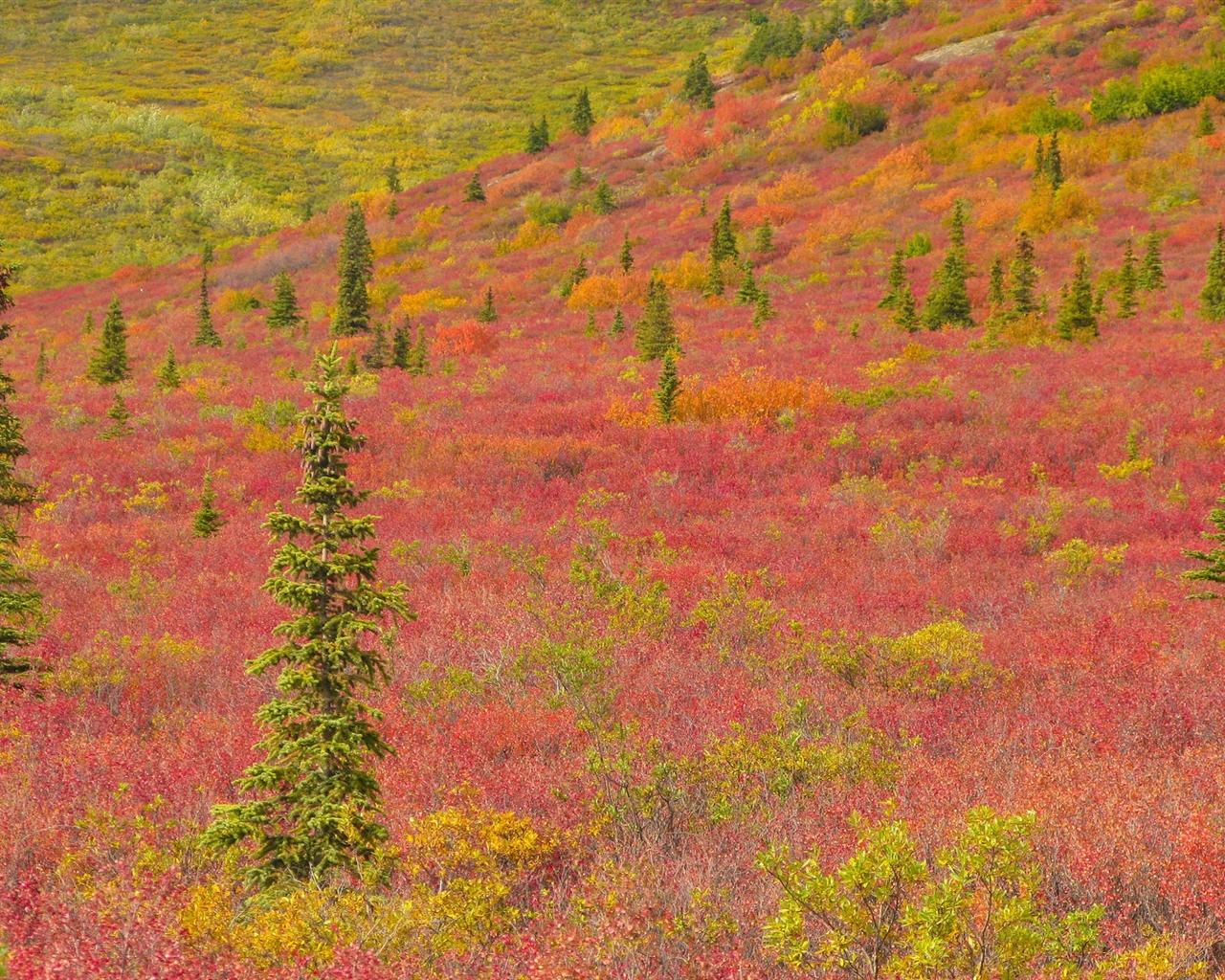 Fond d'écran paysage de l'Alaska (2) #2 - 1280x1024