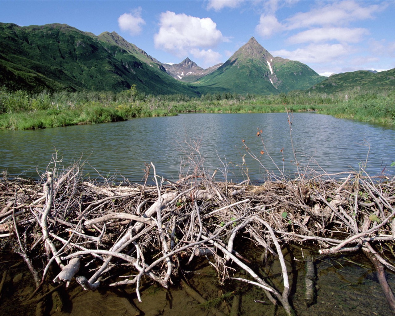Fond d'écran paysage de l'Alaska (2) #9 - 1280x1024
