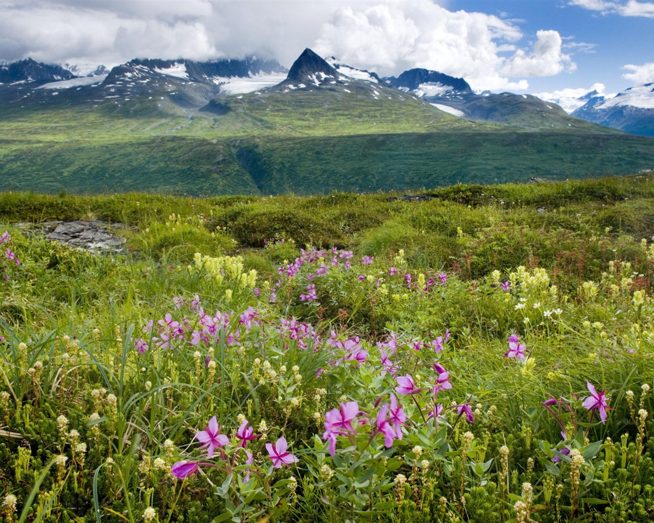 Fond d'écran paysage de l'Alaska (2) #12 - 1280x1024