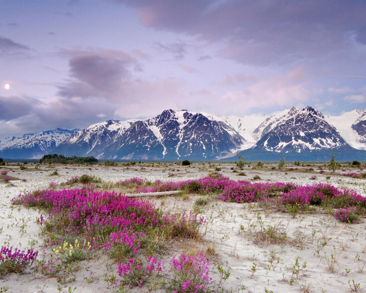 Fond d'écran paysage de l'Alaska (2) #18 - 1280x1024