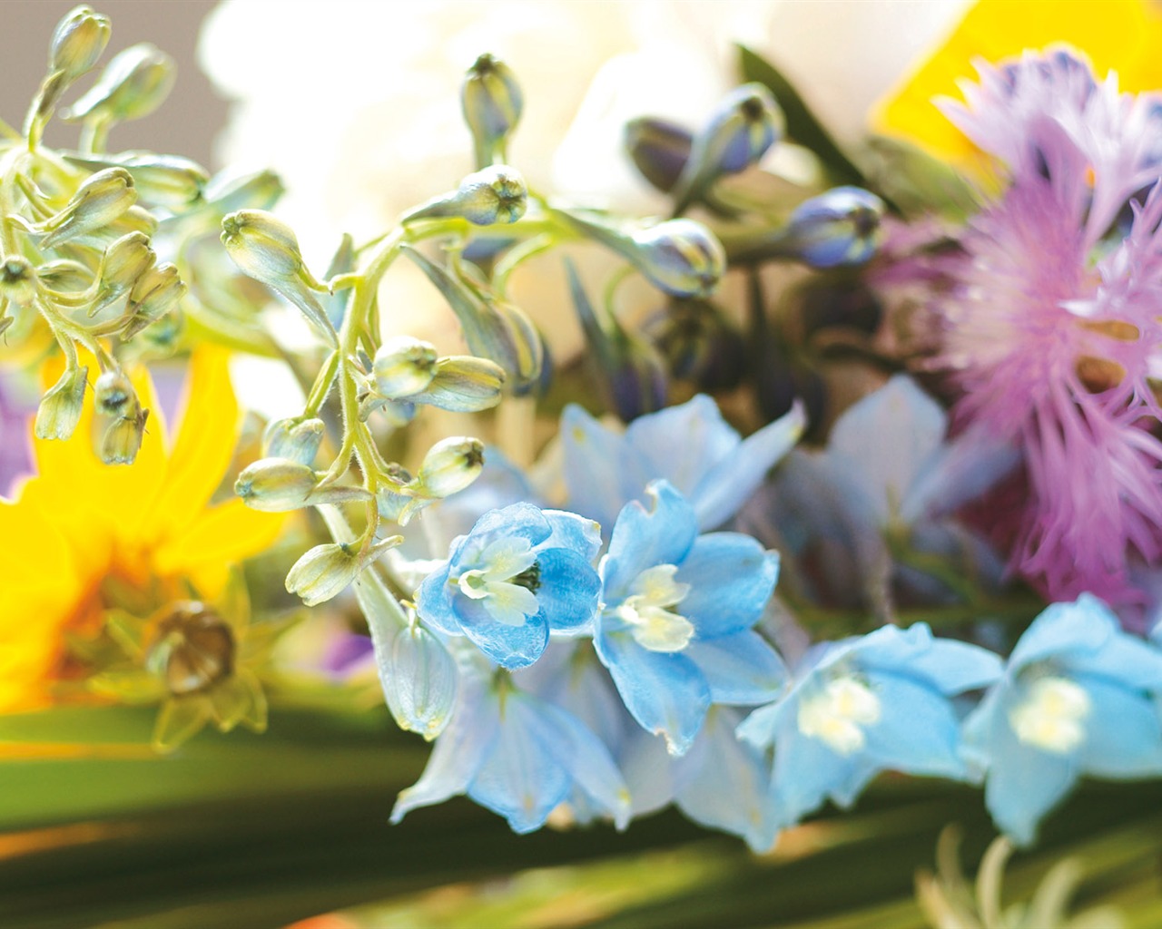fondos de escritorio de flores con pantalla ancha de cerca (4) #9 - 1280x1024