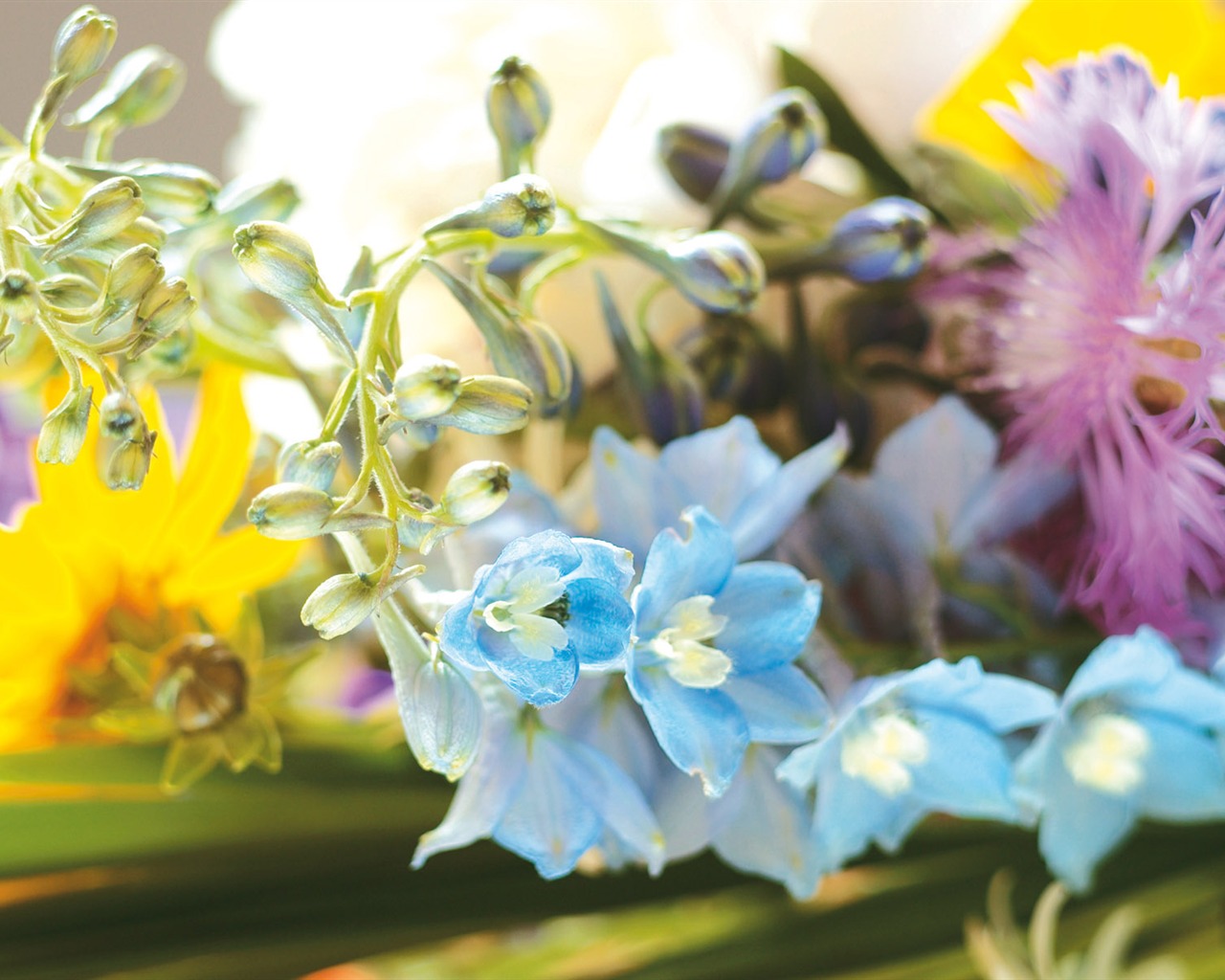 Widescreen wallpaper flowers close-up (4) #9 - 1280x1024