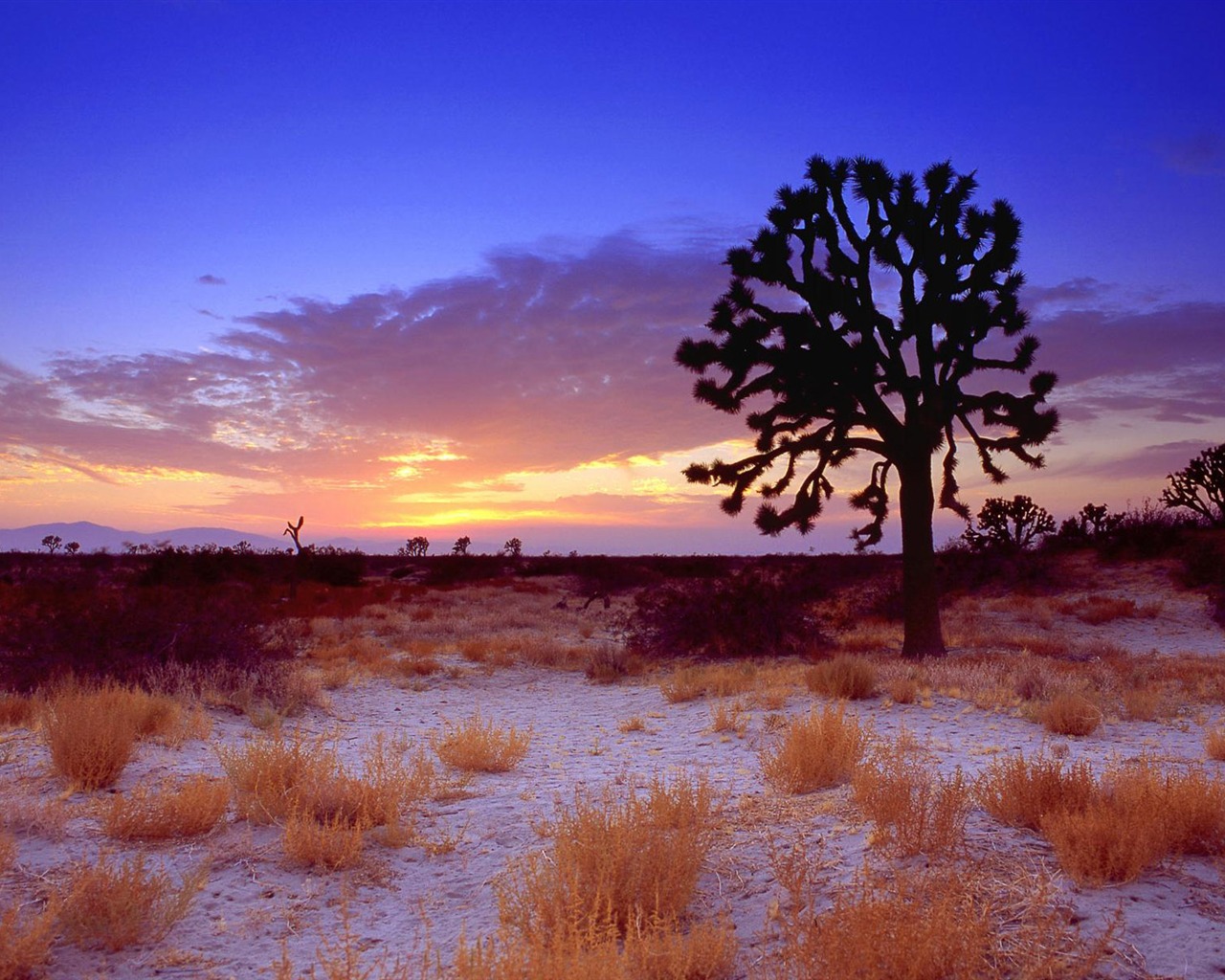 California Scenery Wallpapers (1) #14 - 1280x1024