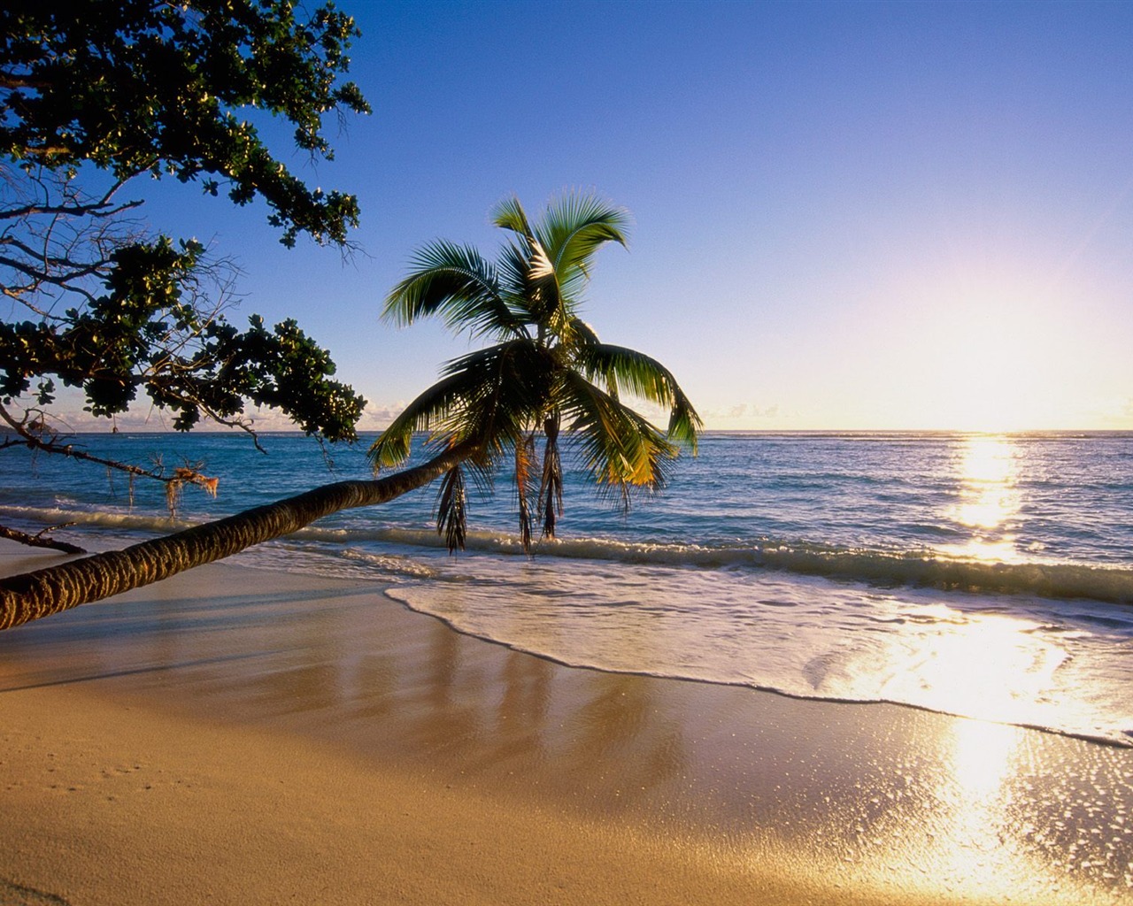 Beach ostrov tapety (2) #13 - 1280x1024