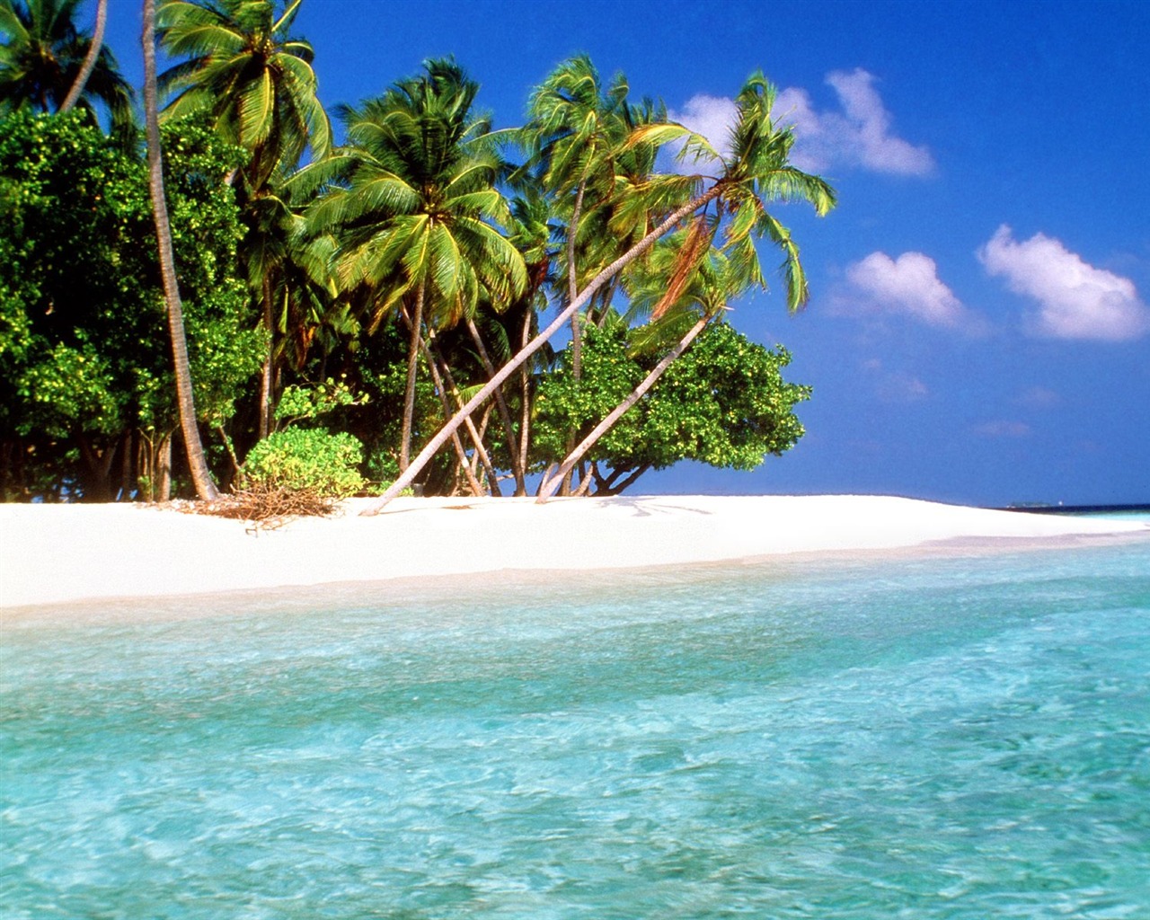 Beach ostrov tapety (2) #23 - 1280x1024
