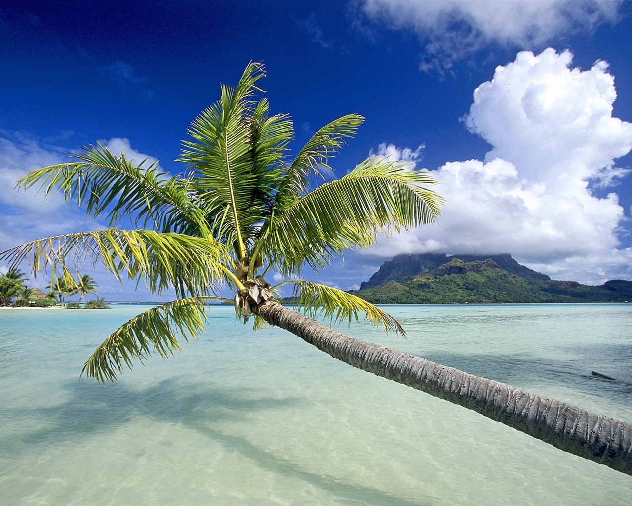Beach ostrov tapety (2) #26 - 1280x1024