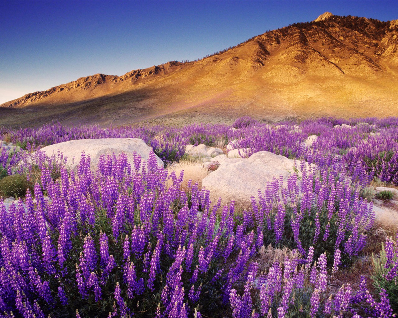 California Scenery Wallpapers (2) #19 - 1280x1024
