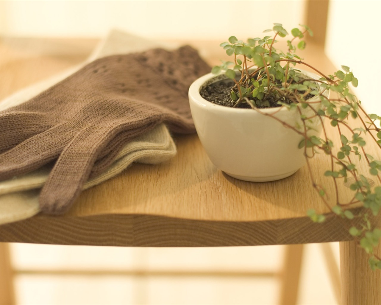 Home Still Life Wallpaper (15) #8 - 1280x1024