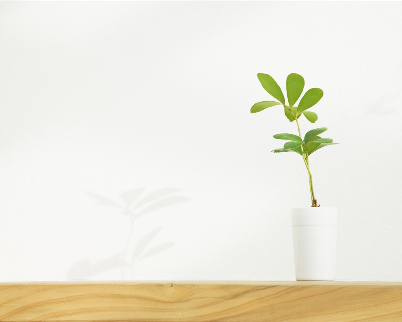 Home Still Life Wallpaper (15) #15 - 1280x1024