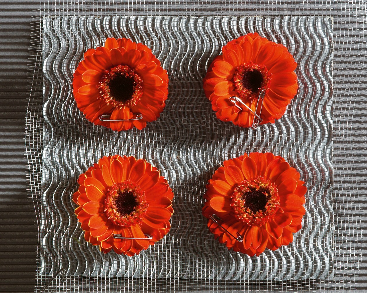 Widescreen wallpaper flowers close-up (6) #12 - 1280x1024