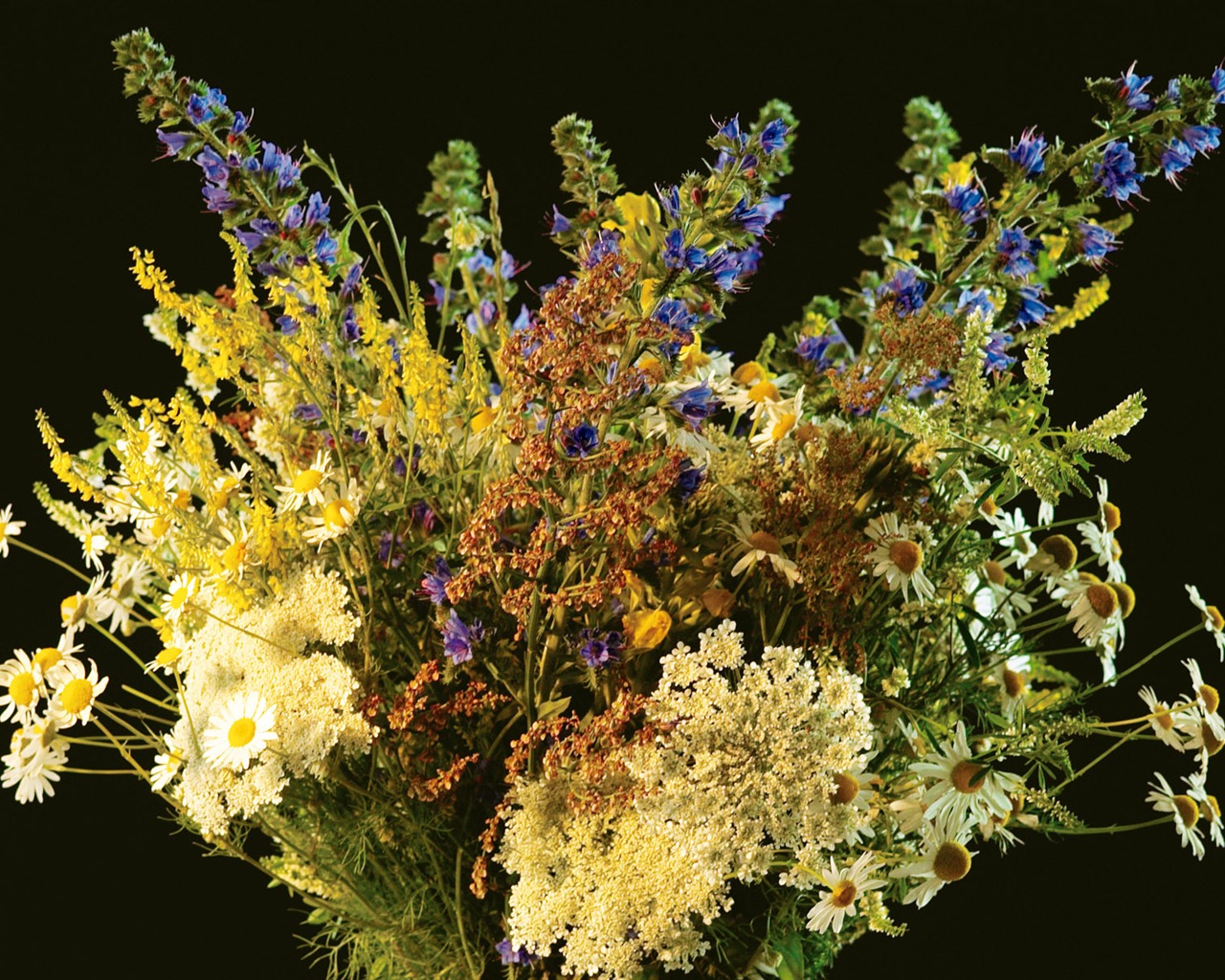 fleurs fond d'écran Widescreen close-up (6) #18 - 1280x1024