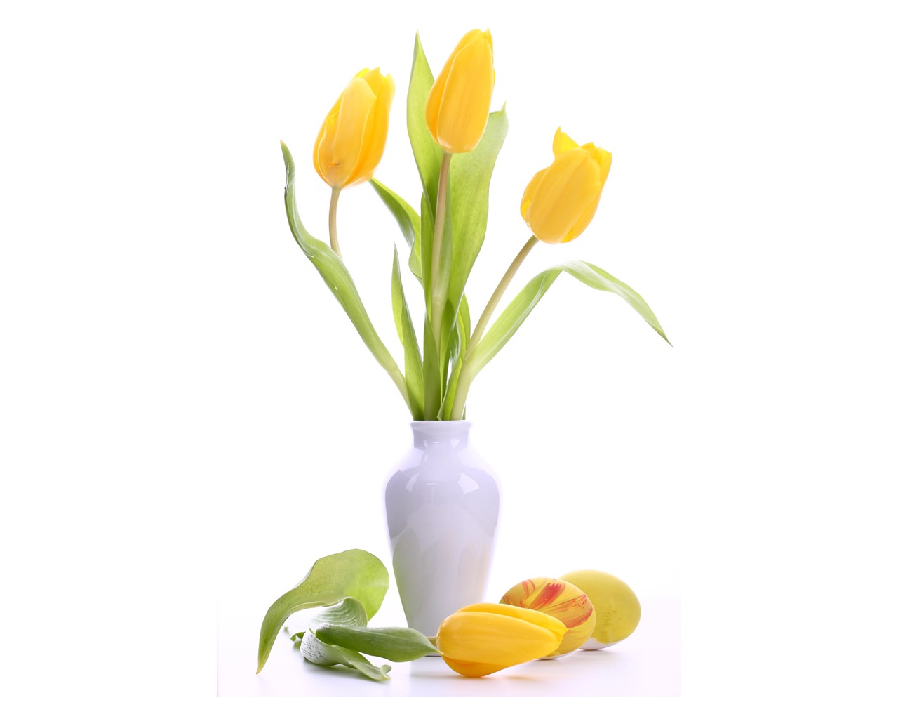 fondos de escritorio de gran tulipán (3) #2 - 1280x1024