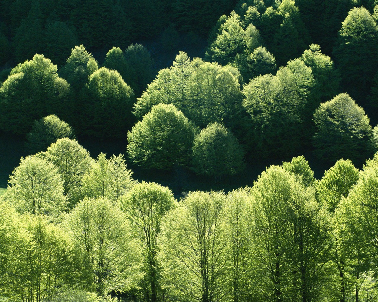 Italian Landscape wallpaper (1) #2 - 1280x1024