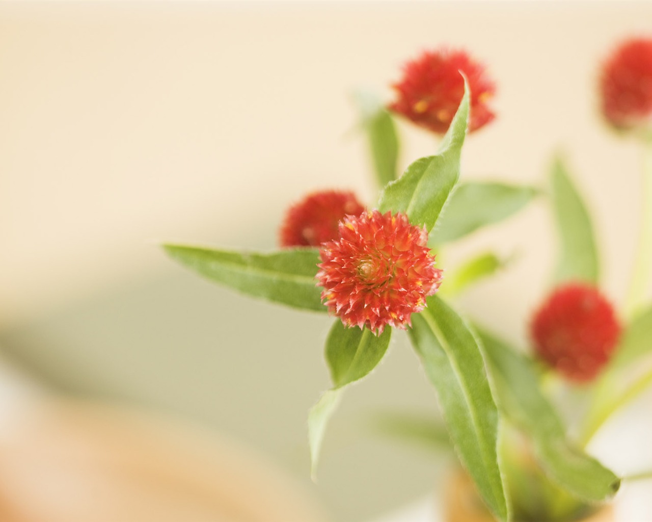 Home Still Life Wallpaper (16) #19 - 1280x1024