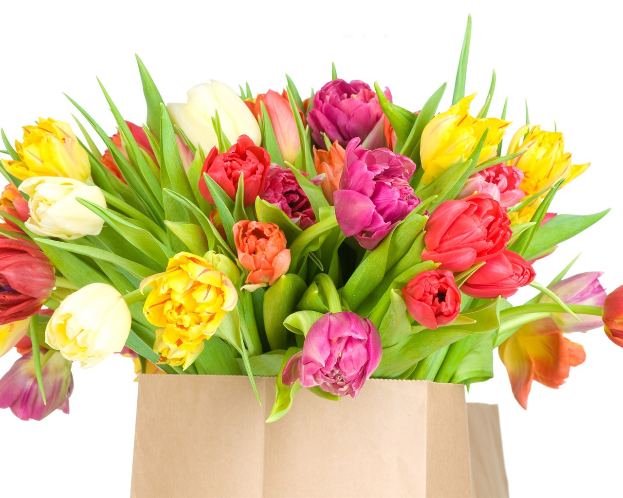 Velký tulipán tapetu (4) #16 - 1280x1024