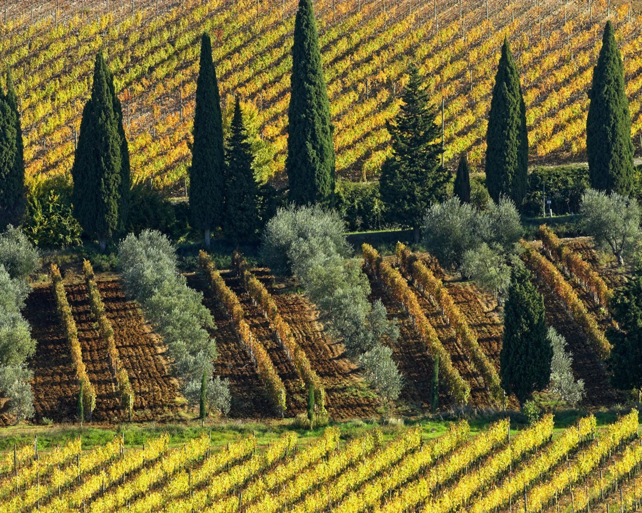 Italienische Landschaft Wallpaper (2) #17 - 1280x1024
