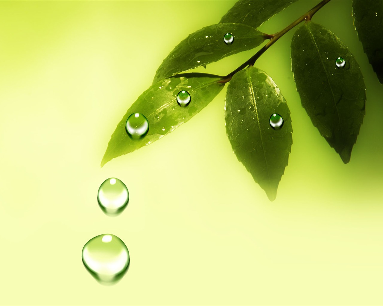 Colorful Water drops HD wallpaper #20 - 1280x1024