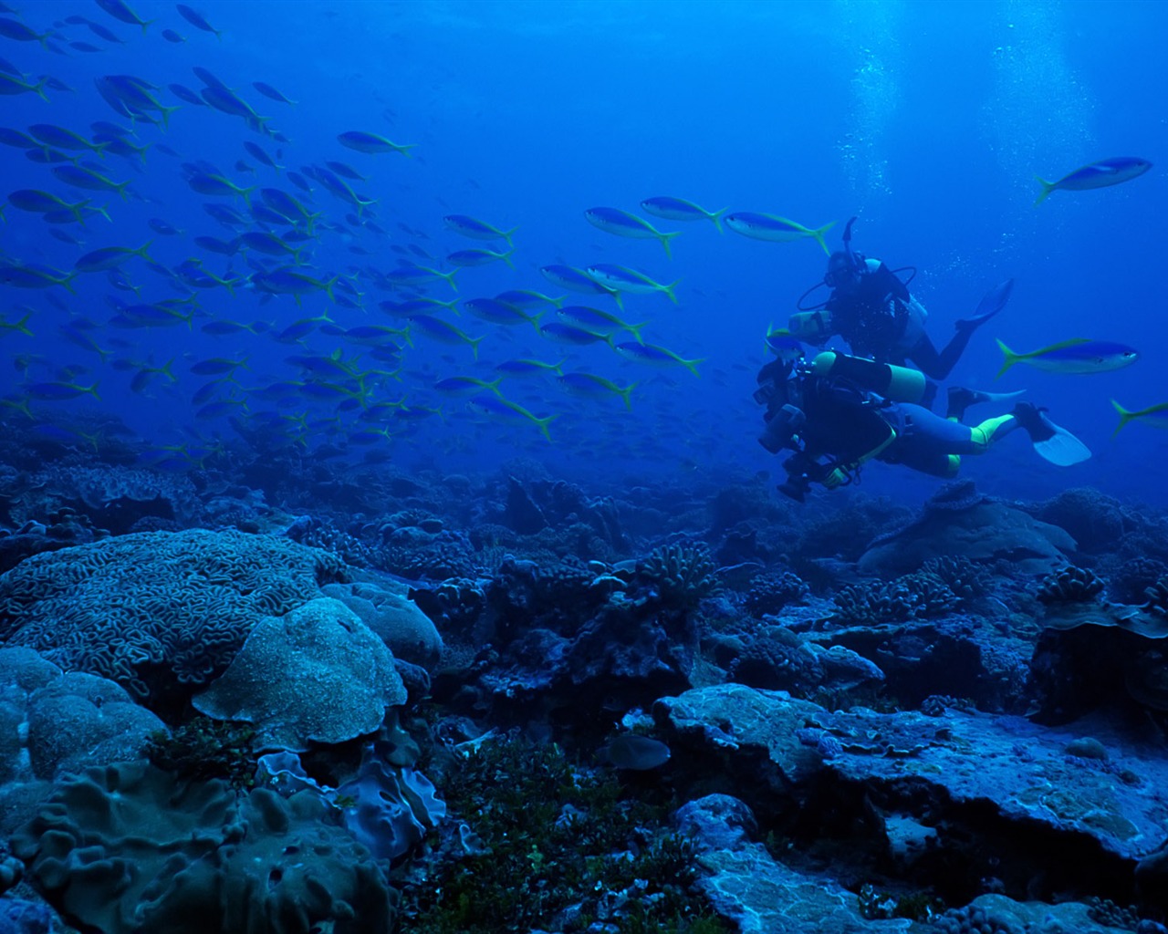Fun Underwater World (3) #7 - 1280x1024