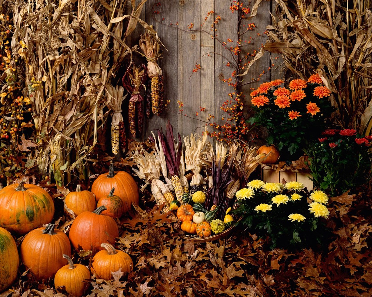 Halloween Téma Tapety na plochu (2) #2 - 1280x1024
