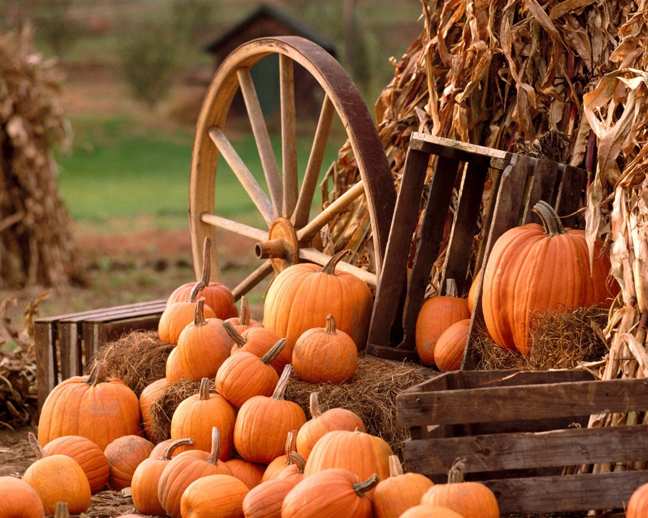 Halloween Theme Wallpapers (2) #7 - 1280x1024