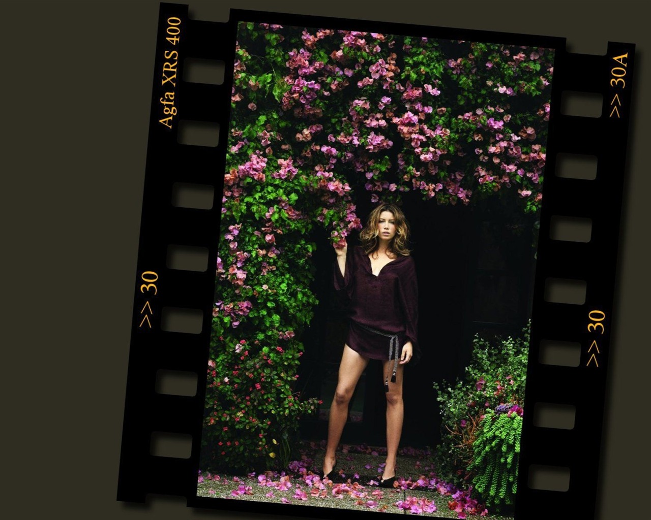 Jessica Biel hermoso fondo de pantalla #24 - 1280x1024