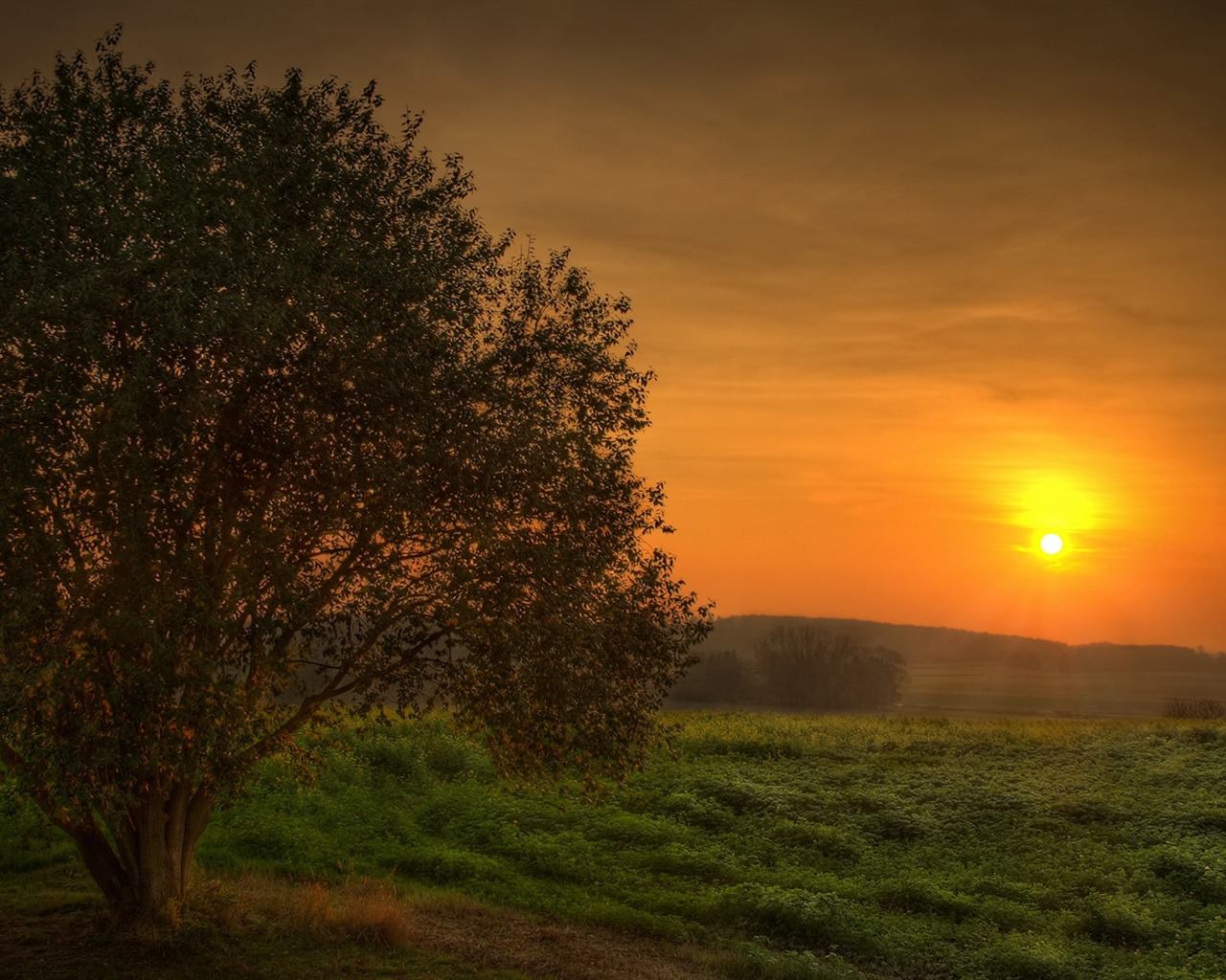 HD Příroda tapety #10 - 1280x1024