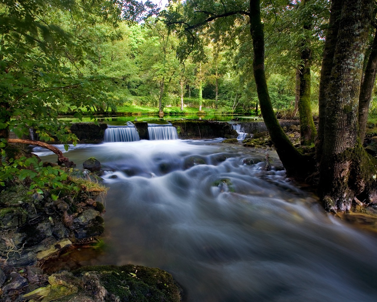 HD Fondos de la Naturaleza #21 - 1280x1024