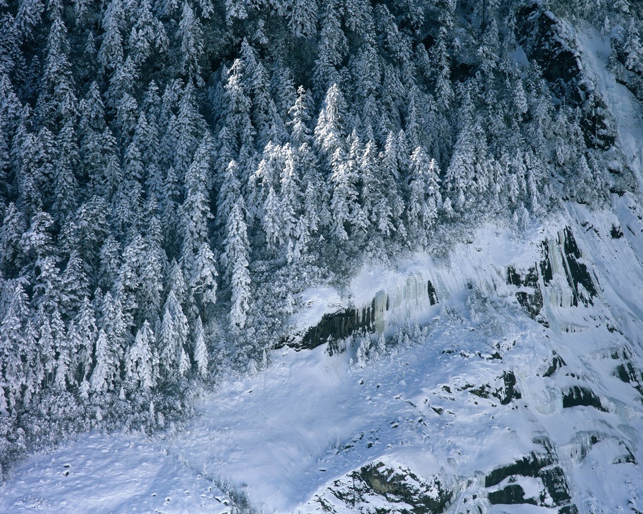 Zimní sníh tapety #5 - 1280x1024