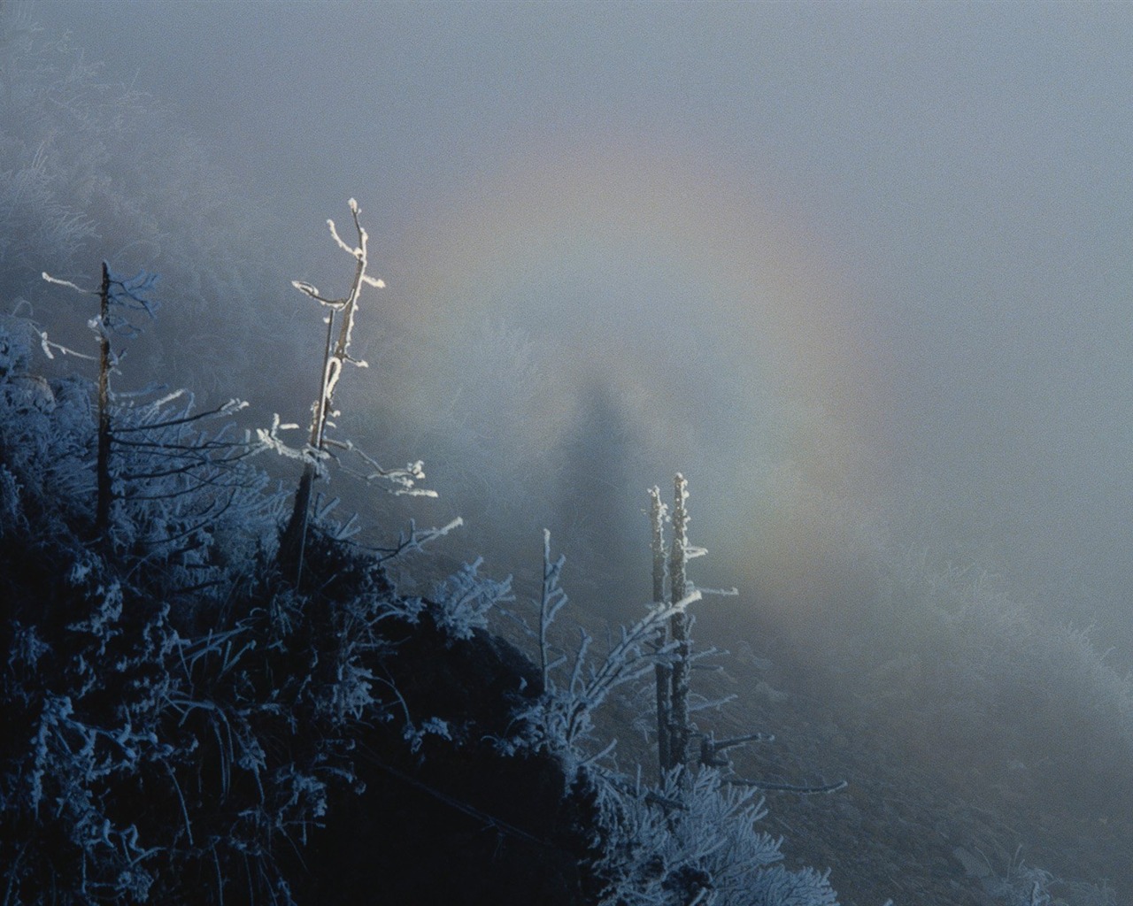 冬天雪景壁紙 #14 - 1280x1024