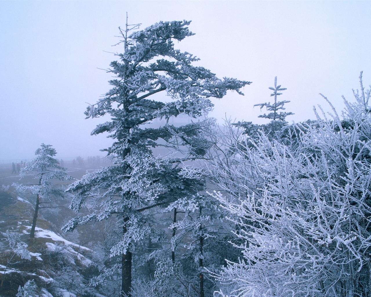 冬天雪景壁紙 #15 - 1280x1024