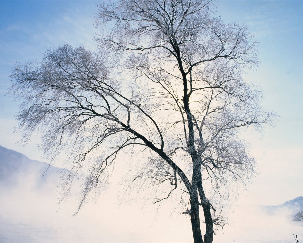 Winter Snow wallpaper #21 - 1280x1024