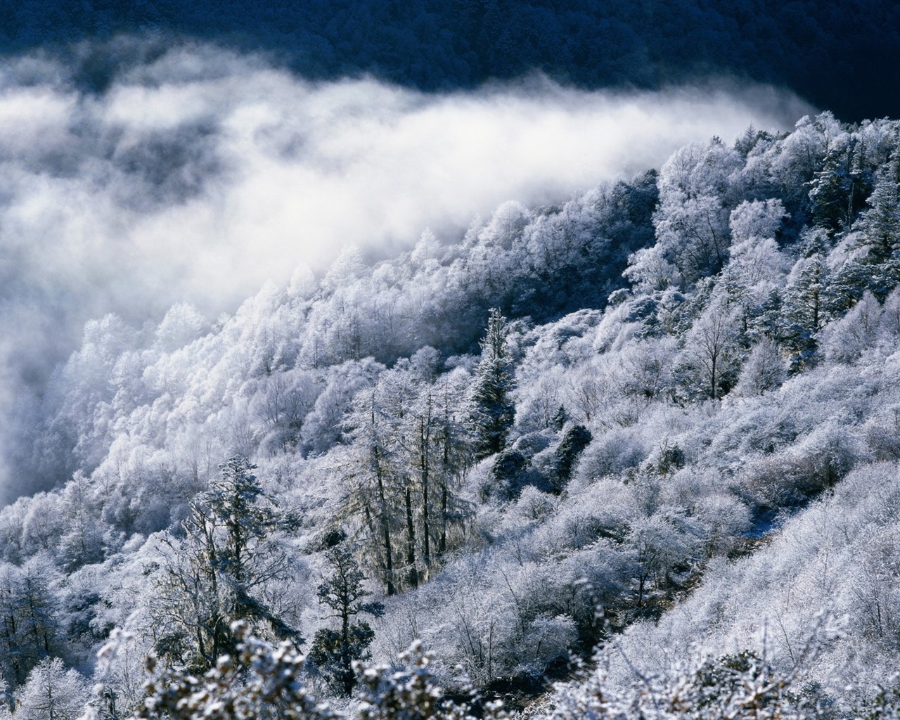 Zimní sníh tapety #28 - 1280x1024