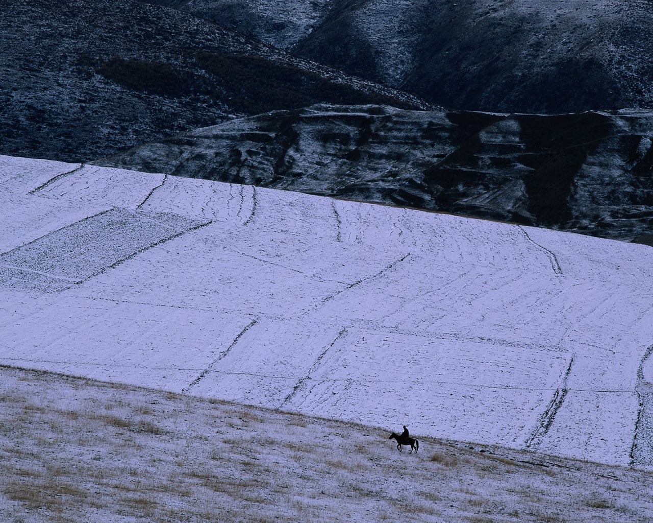 Zimní sníh tapety #32 - 1280x1024