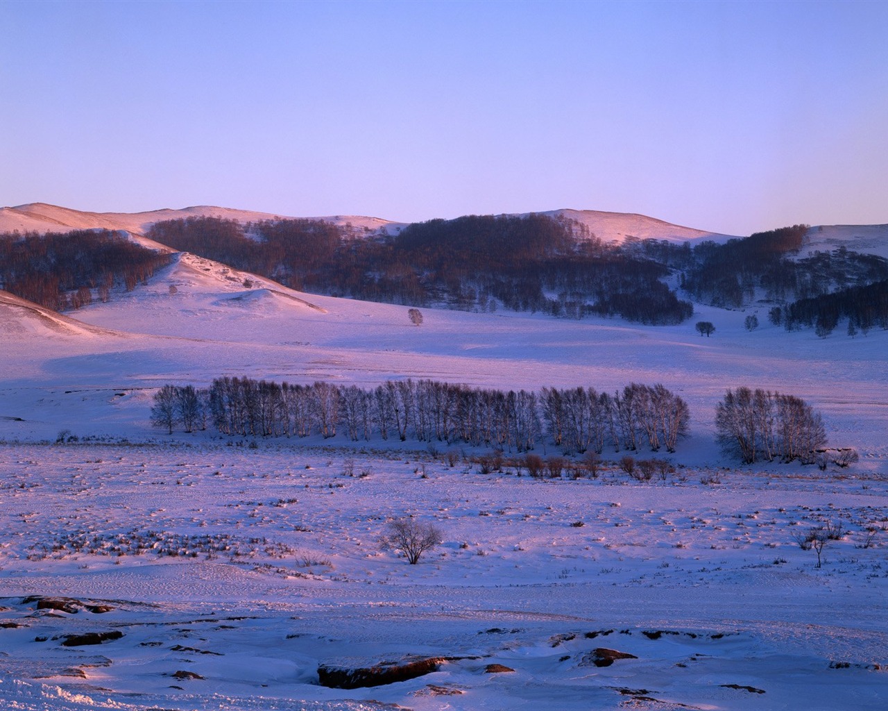 冬天雪景壁紙 #34 - 1280x1024