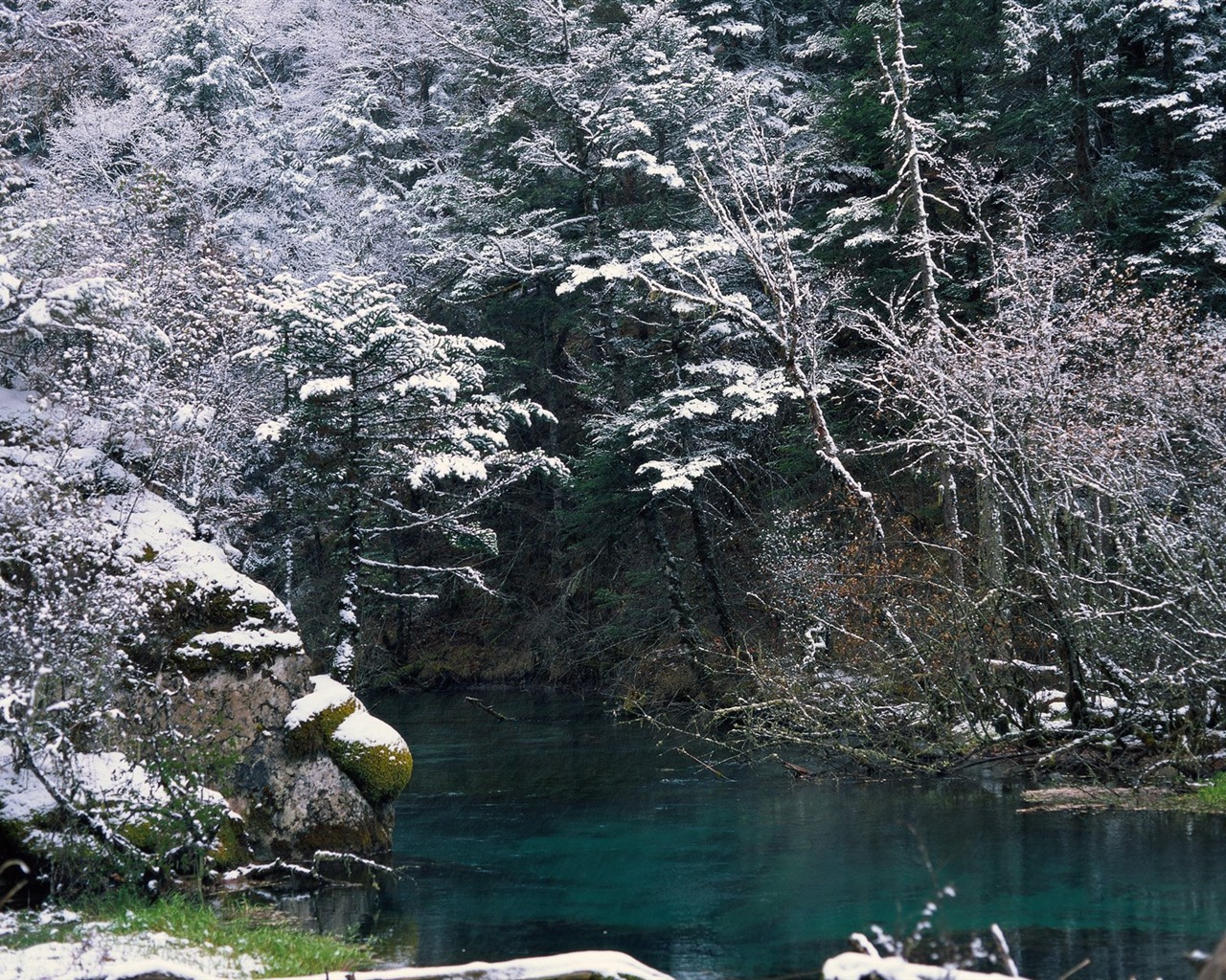 Zimní sníh tapety #37 - 1280x1024