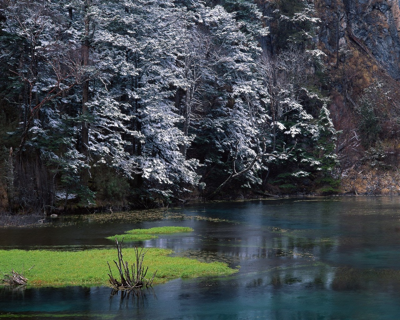 Winter Snow Wallpaper #38 - 1280x1024