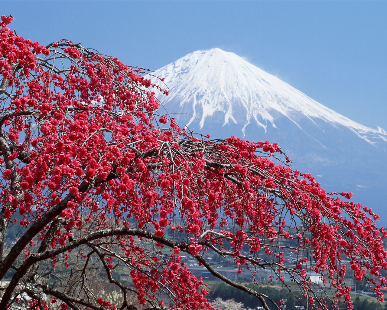 Monte Fuji, fondos de escritorio de Japón (1) #1 - 1280x1024