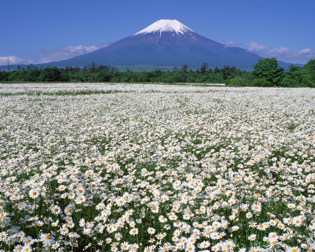Mount Fuji, Japonsko tapety (2) #15 - 1280x1024