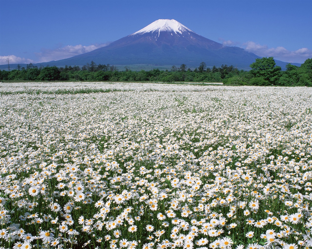 日本富士山 壁紙(二) #15 - 1280x1024