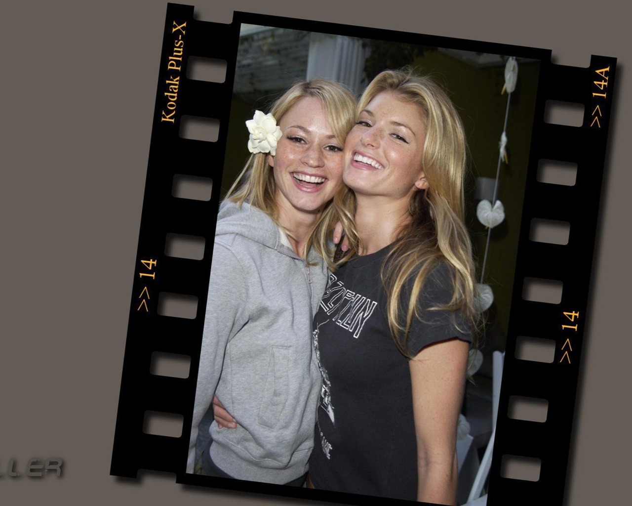 Marisa Miller krásnou tapetu #18 - 1280x1024