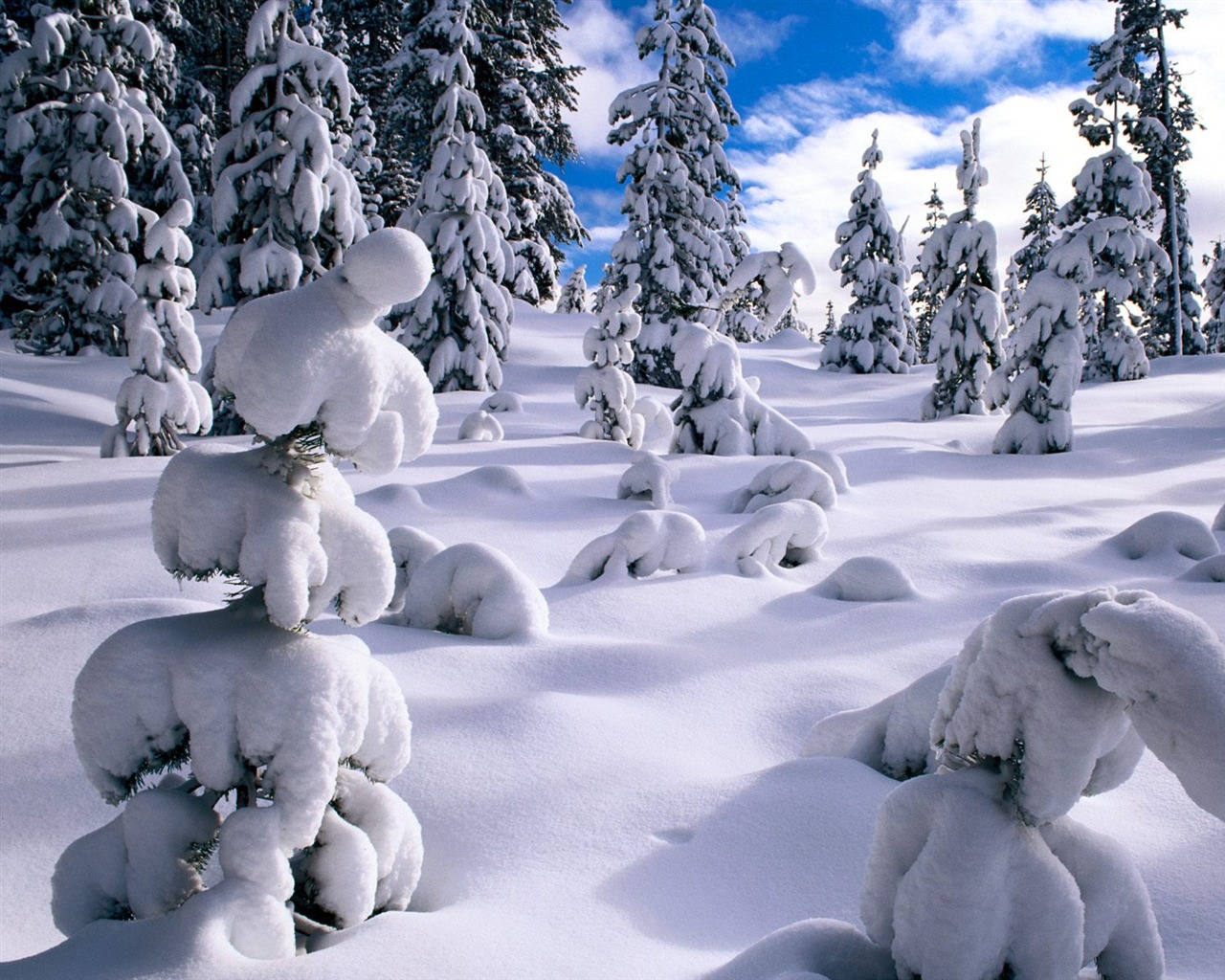 Winter Snow wallpaper (2) #3 - 1280x1024